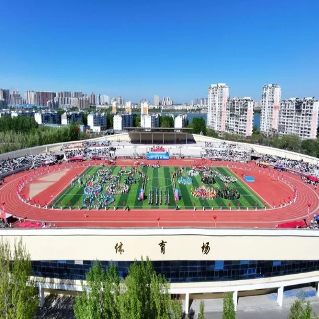 足球杯赛焦点对决:阵容视角解析第278组